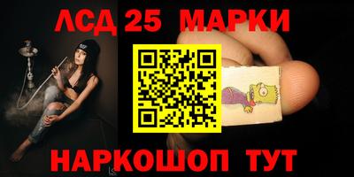 индика Партизанск