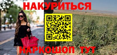 прущие грибы Пенза