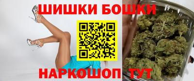 индика Партизанск