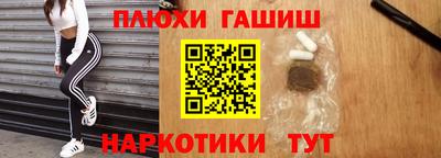 индика Партизанск