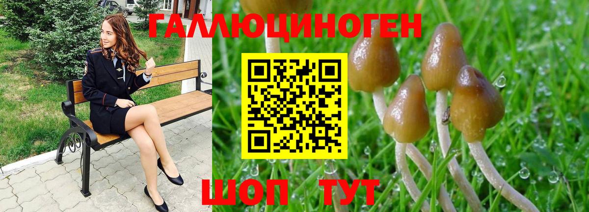 Сургут  как найти   Вход с VPN  Псилоцибиновые грибы мухоморы 